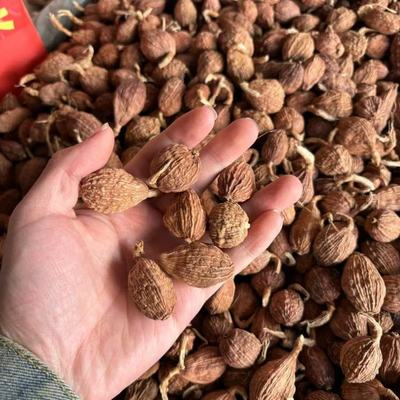 林柏藥業(yè)優(yōu)選皂角刺原藥材 陰涼干燥保存的關(guān)鍵