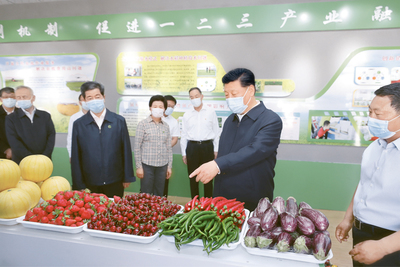 以馬克思主義政治經濟學為指導，開拓初級農產品發展新境界