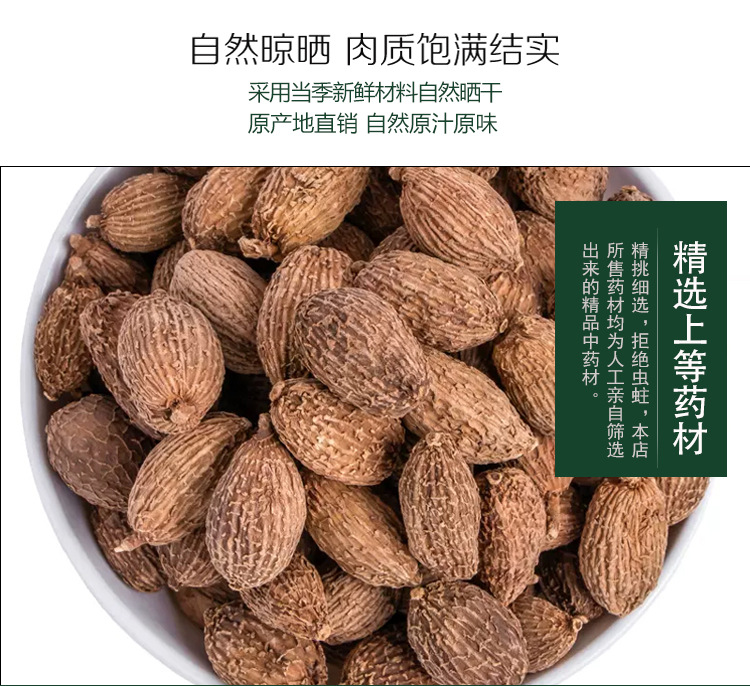 砂仁 香料與藥材的完美結合——初級農產品批發指南