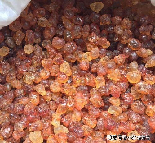 鮮桃滯銷(xiāo)下的機(jī)遇 荊門(mén)屈家?guī)X桃膠產(chǎn)業(yè)貨源供應(yīng)價(jià)格意外驚喜，水產(chǎn)品市場(chǎng)聯(lián)動(dòng)展望