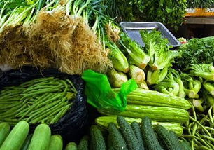 上海菜場(chǎng)終現(xiàn)'一元菜' 蔬菜價(jià)格跌幅明顯，民生實(shí)惠可期