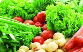 城事觀察丨阿左旗10月中旬蔬菜價格上漲 其他主要食品價格總體平穩