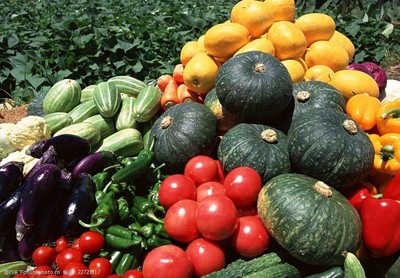 瓜果蔬菜 餐桌上的健康守護(hù)者